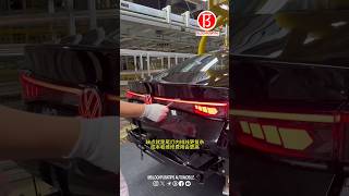 Through tail light Install [upl. by Allecsirp]