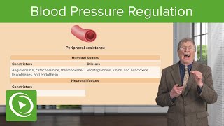 Blood Pressure Regulation [upl. by Hadsall]