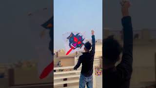 Patang short  patang kite youtubeshorts [upl. by Nairot937]