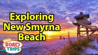 Exploring New Smyrna Beach  Insights From a Local  Beach Driving and Flagler Ave [upl. by Nuavahs]