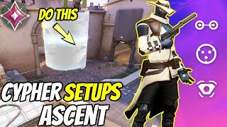 Best Cypher Setups for Ascent valorant 2024 [upl. by Akcired]