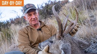 OLD amp UNIQUE Coues Buck  2023 Coues Deer Hunt DaybyDay Ep2 [upl. by Seabrooke]