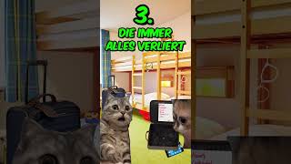 Arten von Schülern auf Klassenfahrt Katzenvideos memes katze schule shorts [upl. by Labaw]