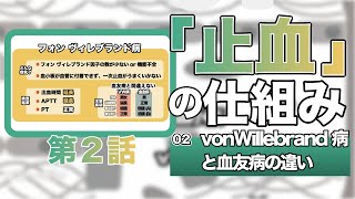 止血の仕組み②「vw病と血友病の違い」 [upl. by Meghan]