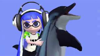 Splatoon Dolphin on wheels  meme MMD [upl. by Trakas]