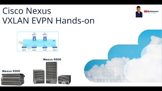 3 Nexus VXLAN EVPN CLI Handson  vPC and Host Connection [upl. by Emmye]