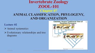 Animal Systematics monophyletic paraphyletic polyphyletic symplesiomorphies synapomorphies [upl. by Ijies]