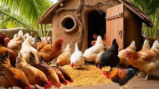 The process of raising chickens naturally and caring for them in the cold seasonthemhuong [upl. by Anytsyrk]