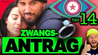 CRINGEAntrag 💍 SAT1 DRÄNGT Mike zur VERLOBUNG 😳 Promi Big Brother 2024 Tag 14 [upl. by Nomolas]