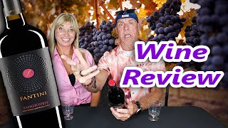 Fantini Sangiovese Wine Review [upl. by Killen42]