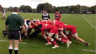 Pangbourne Rugby 1st XV 2012  2013 [upl. by Ahsatin973]