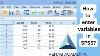 How to Enter Data in SPSS for Beginners  Quick Tutorial [upl. by Aihseyt925]