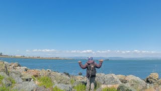 Light Tackle Saltwater Striped Bass Fishing from the Bank South San Francisco Bay [upl. by Adieno]