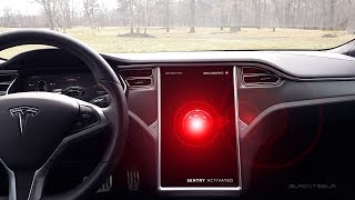 Teslas Sentry Mode Review [upl. by Eikciv224]