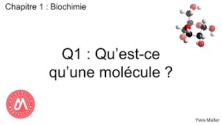 Chapitre 1  Biochimie  Q1  Questce quune molécule [upl. by Nylrahs172]