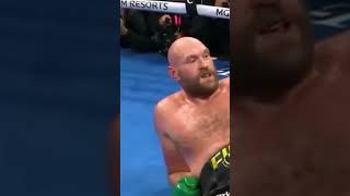 Wilder vs Fury 3 shorts [upl. by Saddler]