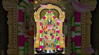 Lord 🙏 Balaji songs [upl. by Nosiram]