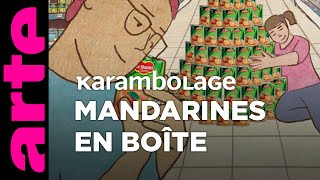 Mandarines en boîte  Karambolage  ARTE [upl. by Ennoryt]