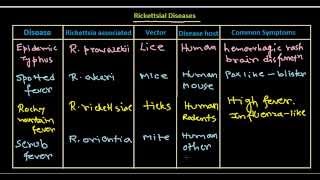 Rickettsial disease [upl. by Zacharia572]