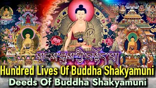 ☸️Buddha Prayer  100 Lives Of Buddha ShakyamuniDeeds Of Buddha बुद्ध प्रार्थनाསངས་རྒྱས། [upl. by Niraj]