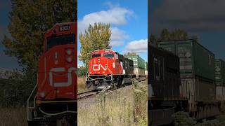 CN 8303 Leading On Z112 railway train canadiannationalrailway cnrailway cntrain railroad cn [upl. by Loreen]