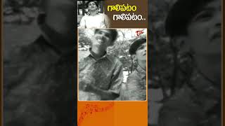 గాలిపటం గాలిపటంGalipatam Song  ANR Thodi Kodallu Movie Sankranthi Special Shorts Youtubeshorts [upl. by Sandon761]