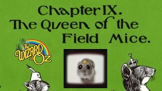 The Wizard Of Oz Chapter 9 The Queen Of The Field Mice [upl. by Joette]