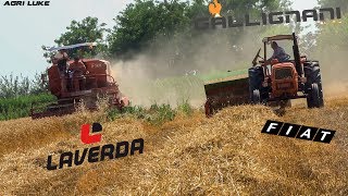 Laverda M120  Gallignani 7100  OM615 Old Threshing and Baling  Trebbiatura e Pressatura DEpoca [upl. by Saibot869]