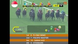 20240203  Race 9 Singapore Kranji Horse Racing Highlights  Pace88 Horse [upl. by Adnamma]