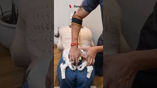 Tailbone problem can be fixed by Chiropractorchiropractorinbangalorebangaloretrending [upl. by Bobina]