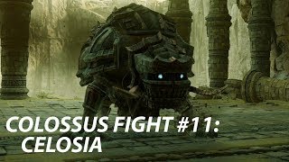 4K Shadow of the Colossus PS4  Colossus 11 Celosia Fight [upl. by Bocoj]