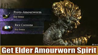 How To Get Elder Amourworn Spirit Use of Proto Amourworm Black Myth Wukong [upl. by Kee344]