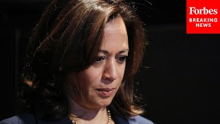 Media Is Failing To Discuss The Kamala Harriss Disaster Campaign For 2020 Nomination Frank Luntz [upl. by Tristas]