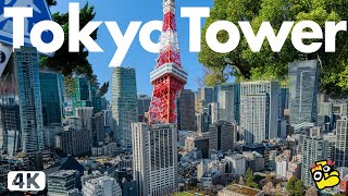 Tokyo Tower Spring View 4K [upl. by Aviv710]