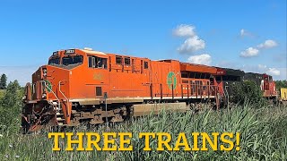 CN Elgin Joliet And Eastern Heritage Unit 3023 Leading CN Z114 Q183 And Q109 at Mount Albert [upl. by Nomra]