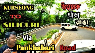 Kurseong To SiliguriVia Pankhabari RoadHair Pin Bend Road Most Dangerous amp Adventurous Road🚗🚗 [upl. by Merriott427]