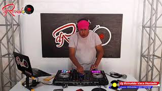 Pisadinha Mix  DjReinaldo Vaca Hurtado [upl. by Aeet]