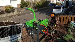 GreenMech Arborist 130 at work🌳 [upl. by Enelehs]