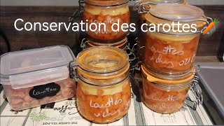 Conservation des carottes en stérilisation et deshydratation [upl. by Faires]