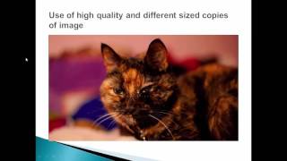 Cs420 Use of high quality and different sized copies of image lecture 3 week 6 [upl. by Parthena]