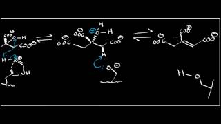 Biochemistry  Aconitase Mechanism Part 12 [upl. by Hammock19]