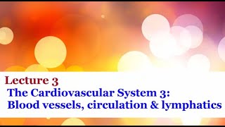 Systemic Inflammatory Response Syndrome SIRS Criteria  MEDZCOOL [upl. by Adnamas]