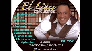 Disculpeme SeñoraEL LINCE DE LA BACHATA  en vivo [upl. by Hughmanick441]