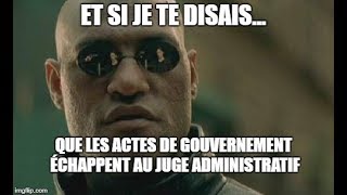 Les actes de gouvernement [upl. by Peppy]