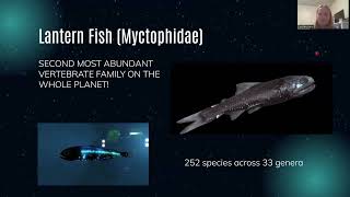 Speciesspecific bioluminescence facilitates speciation in the deep sea Bio 250 Video Project [upl. by Phedra]