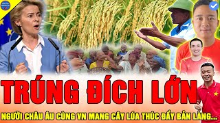 🔴CHÂU ÂU PHẤN KHÍCH Team Quang Linh Vlog BÁC CHỦ ĐẤT CỘT MỐC QUAN TRỌNG CHINH PHỤC CÂY LÚA NƯỚC VIỆT [upl. by Leak]