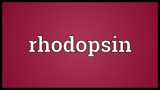 Rhodopsin Meaning [upl. by Gerrit]