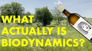 What is Biodynamic Wine  GUT OGGAU explains [upl. by Lednek380]