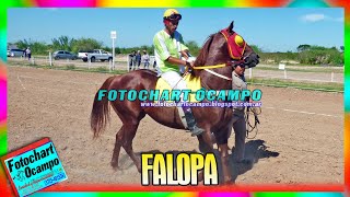 FALOPA  Pirane  Formosa 19112022 [upl. by Annehsat842]