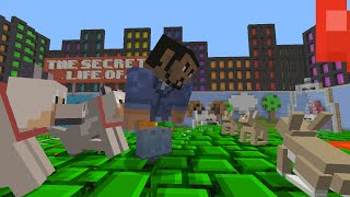 Minecraft Xbox  Murder Mystery  The Secret Life Of Pets 2 [upl. by Sheela]